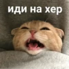 UtjJViq_by_achestickbot 28