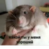 какой ты у меня хороший