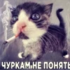 Стикеры тYт: 30