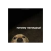 Meow 8