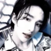 💗hyunjin :: @virtstik :: 13