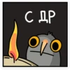 Сова Вова 12