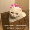 💕 Стики тYт: 17