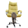 Zhuk_kit 10