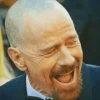 | Breaking Bad 22