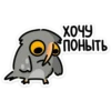 Сова Вова 29