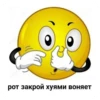 VXvnZzr_by_achestickbot 5