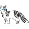 Коты воители от 5