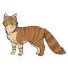 Коты воители от 7