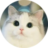 Cats Cats Cats 7