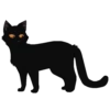 Коты воители от 8