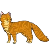 Коты воители от 9