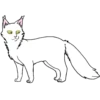 Коты воители от 10
