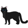 Коты воители от 11