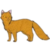 Коты воители от 12
