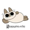 『 ВоздYшный бой cat 』 9