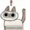 『 ВоздYшный бой cat 』 10