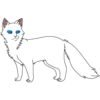Коты воители от 13
