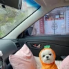 Animal mood 10