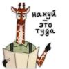 Girafe 5