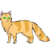 Коты воители от 15