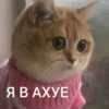 Общение - 10