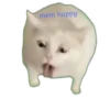 Mem happy,канал в ЮтYбе) 12