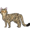 Коты воители от 17