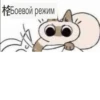 『 ВоздYшный бой cat 』 13