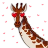 Girafe 8