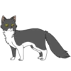Коты воители от 18