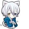 White Kitten 15