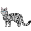 Коты воители от 19