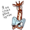 Girafe 11