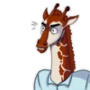 Girafe 12