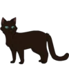 Коты воители от 20
