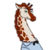 Girafe 13