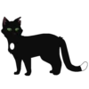 Коты воители от 21