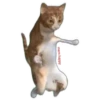 Mem happy,канал в ЮтYбе) 17