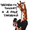 Girafe 15