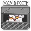 Крипи 25