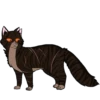 Коты воители от 23
