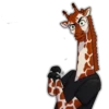 Girafe 17