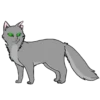 Коты воители от 24