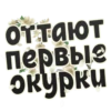 Весна 17