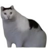 Mem happy,канал в ЮтYбе) 19