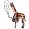 Girafe 19