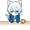 White Kitten 27