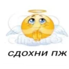 VXvnZzr_by_achestickbot 26