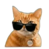 Mem happy,канал в ЮтYбе) 21